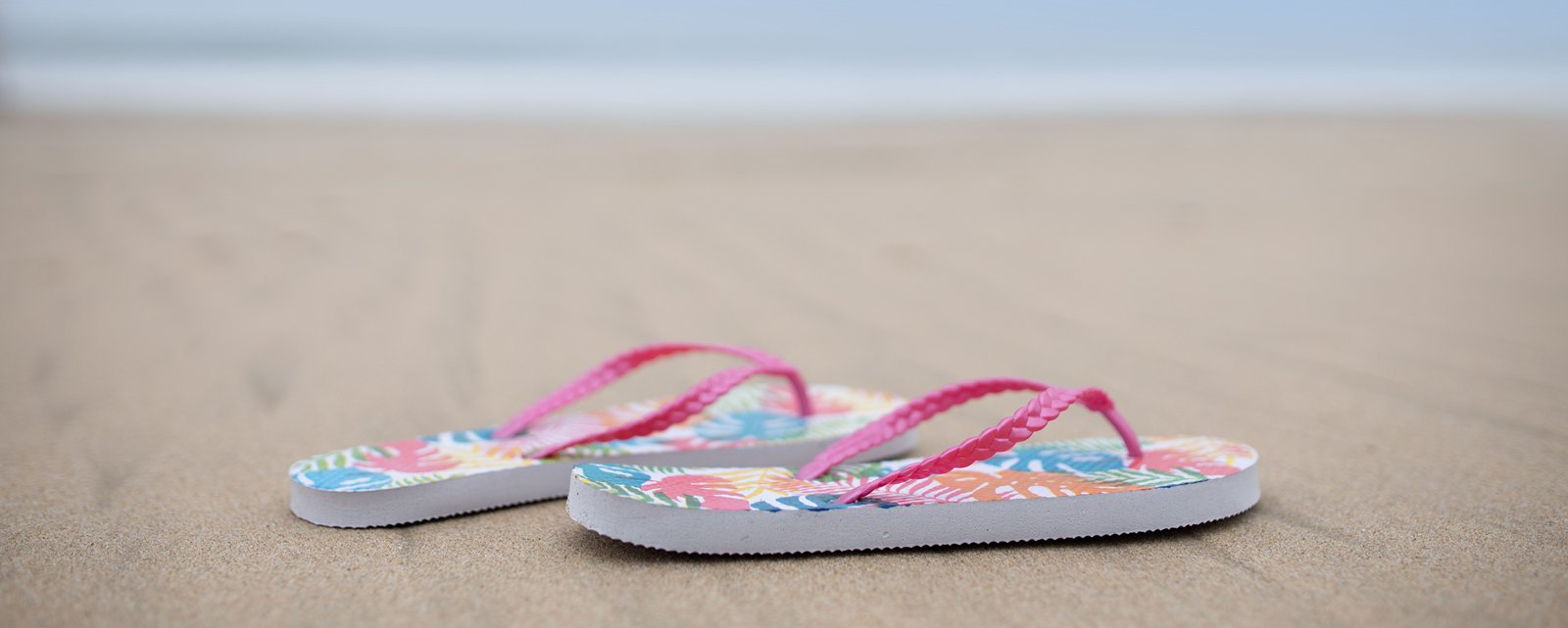 Klipklapper på sandstrand ved havet
